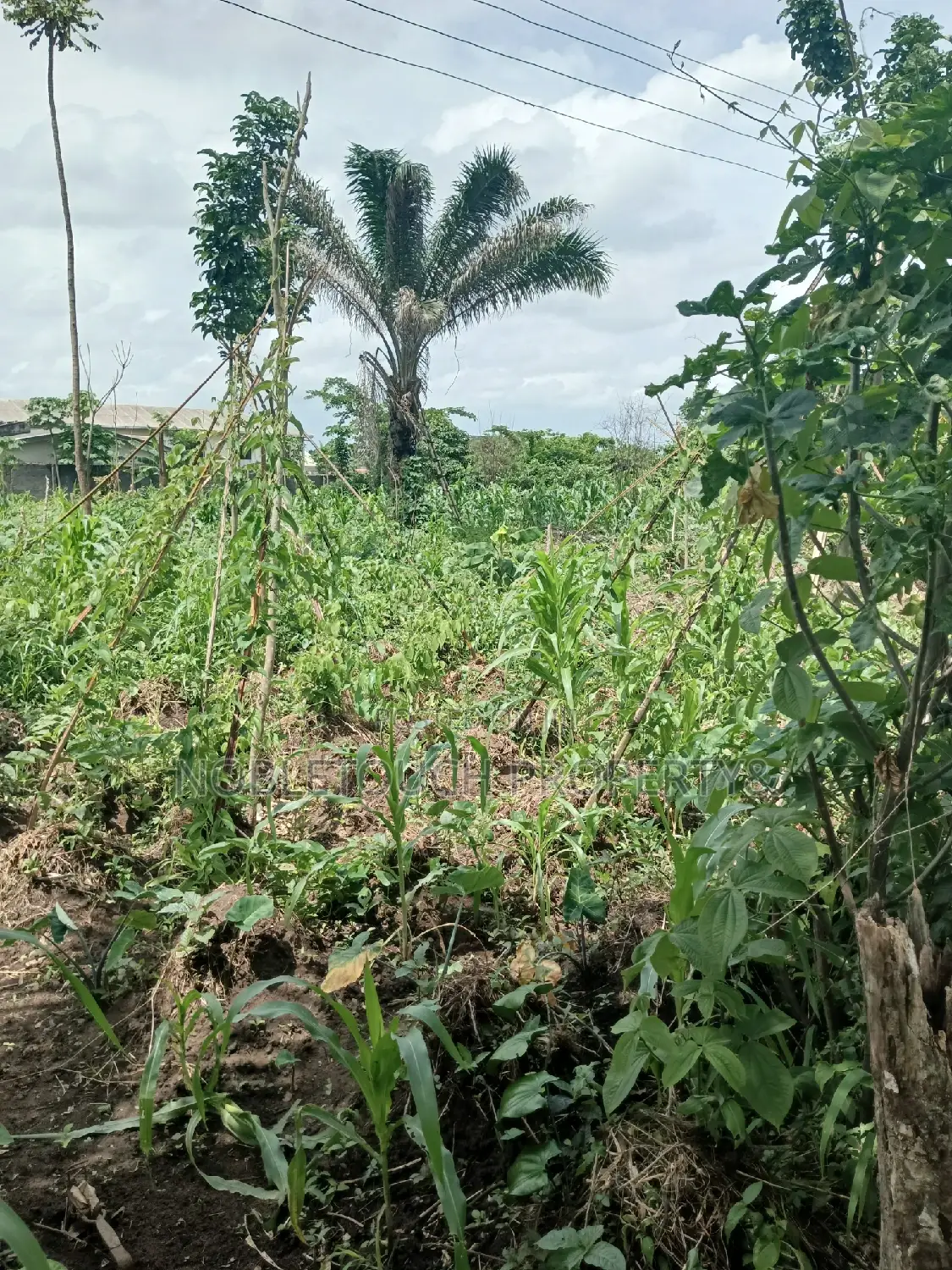 18plots of Dry Land at Old Akesan Igando Road in Egan