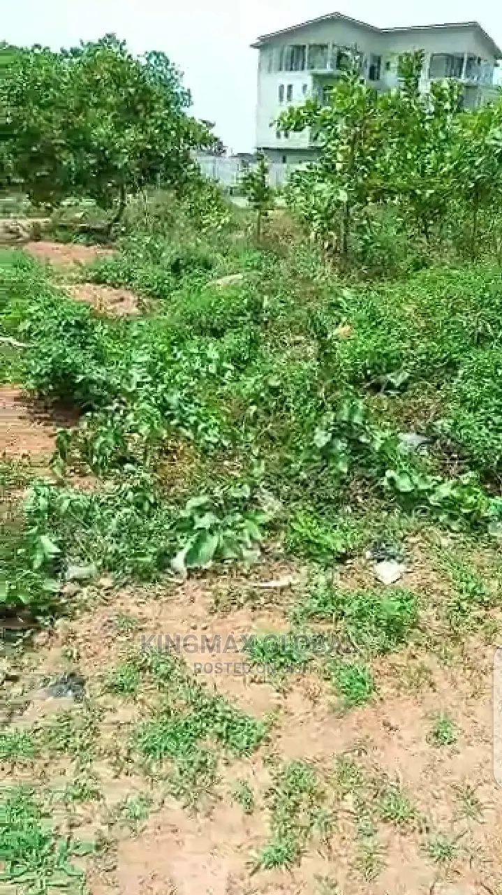 Quick Cheap Sale: Well Located Tarred Road Plot 1020 765sqm in Jahi