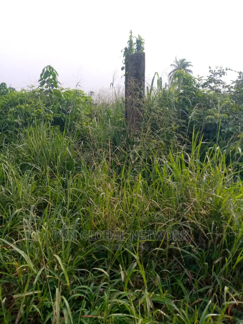 2 Half Plot for Sale in Owerri