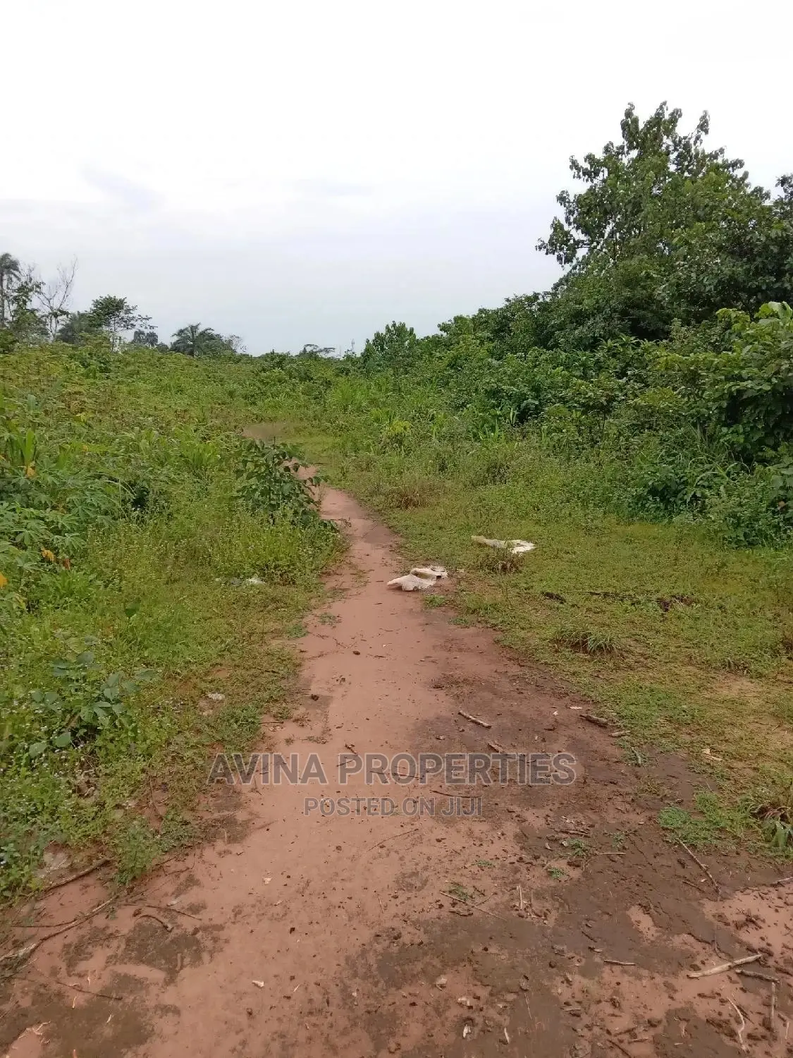 A Total of 14 Plots of Land Already Surveyed in Eziobodo in Owerri