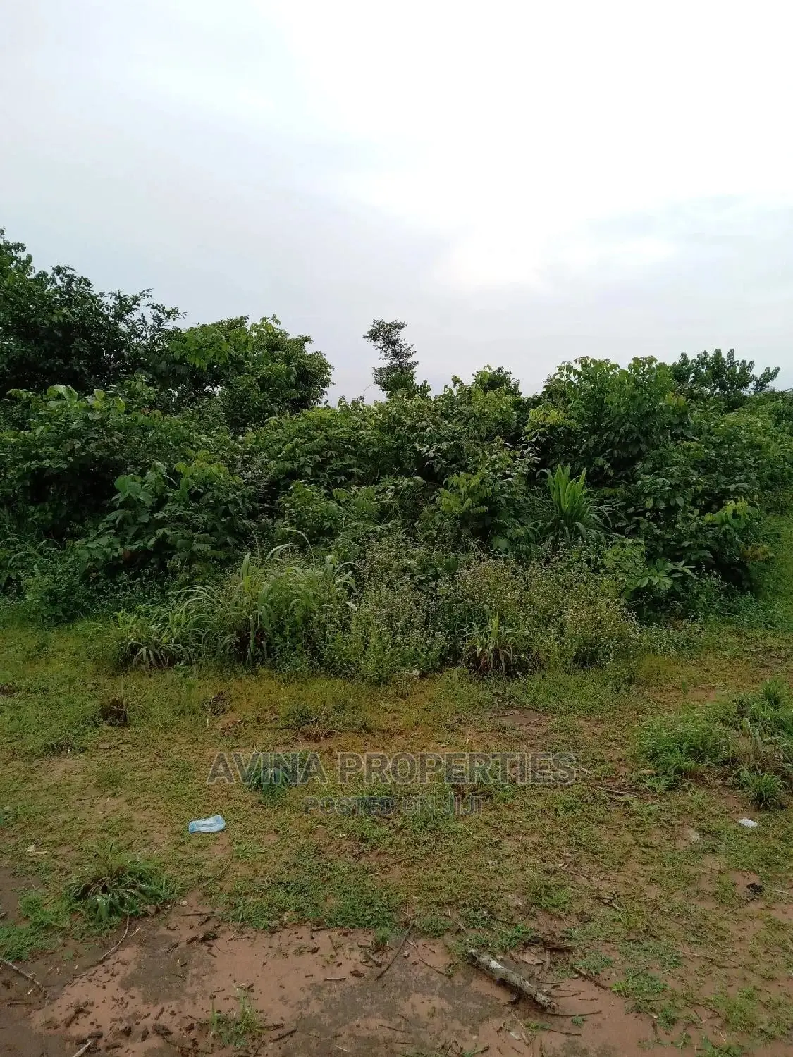 A Total of 14 Plots of Land Already Surveyed in Eziobodo in Owerri