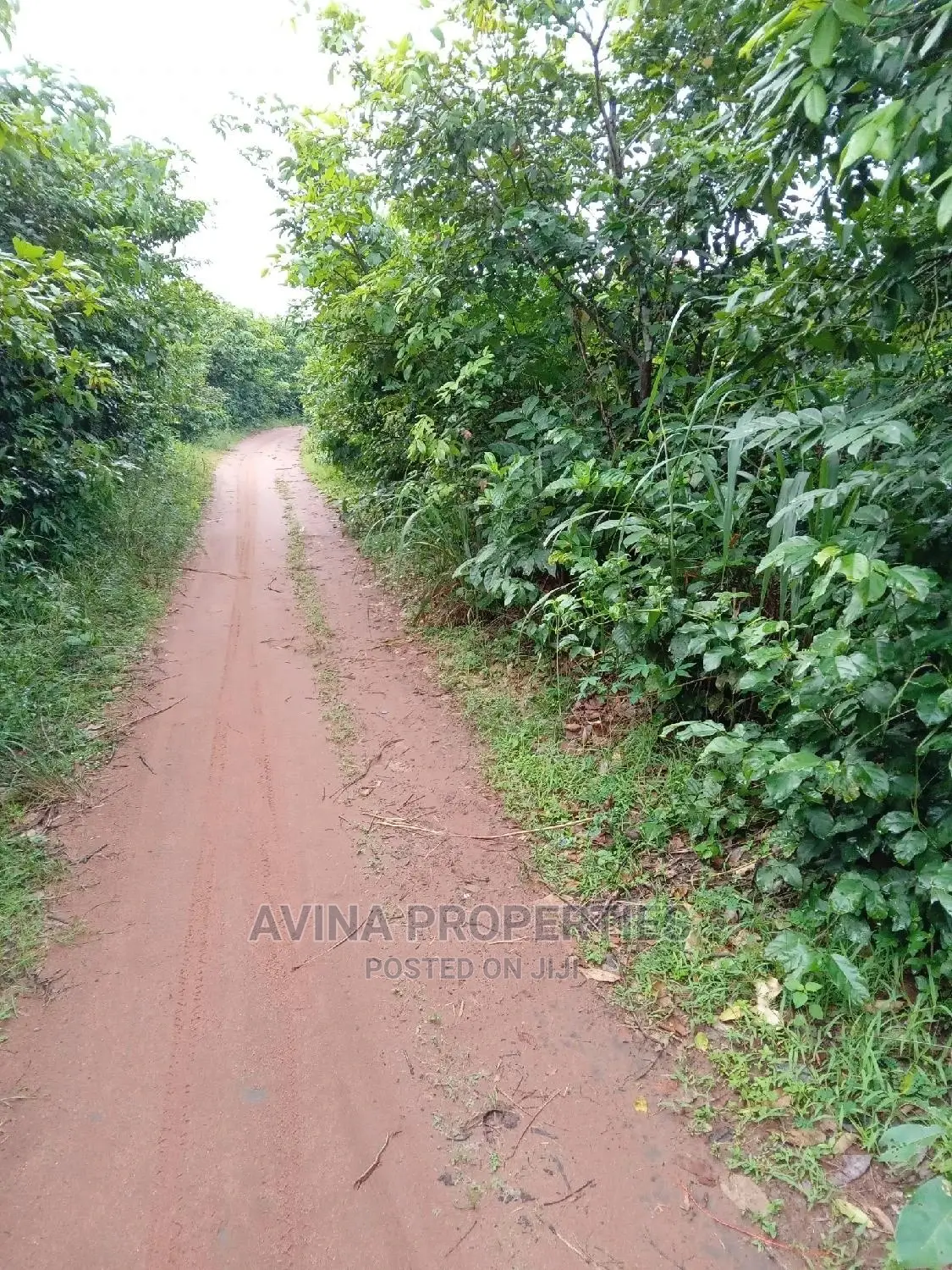 A Total of 14 Plots of Land Already Surveyed in Eziobodo in Owerri