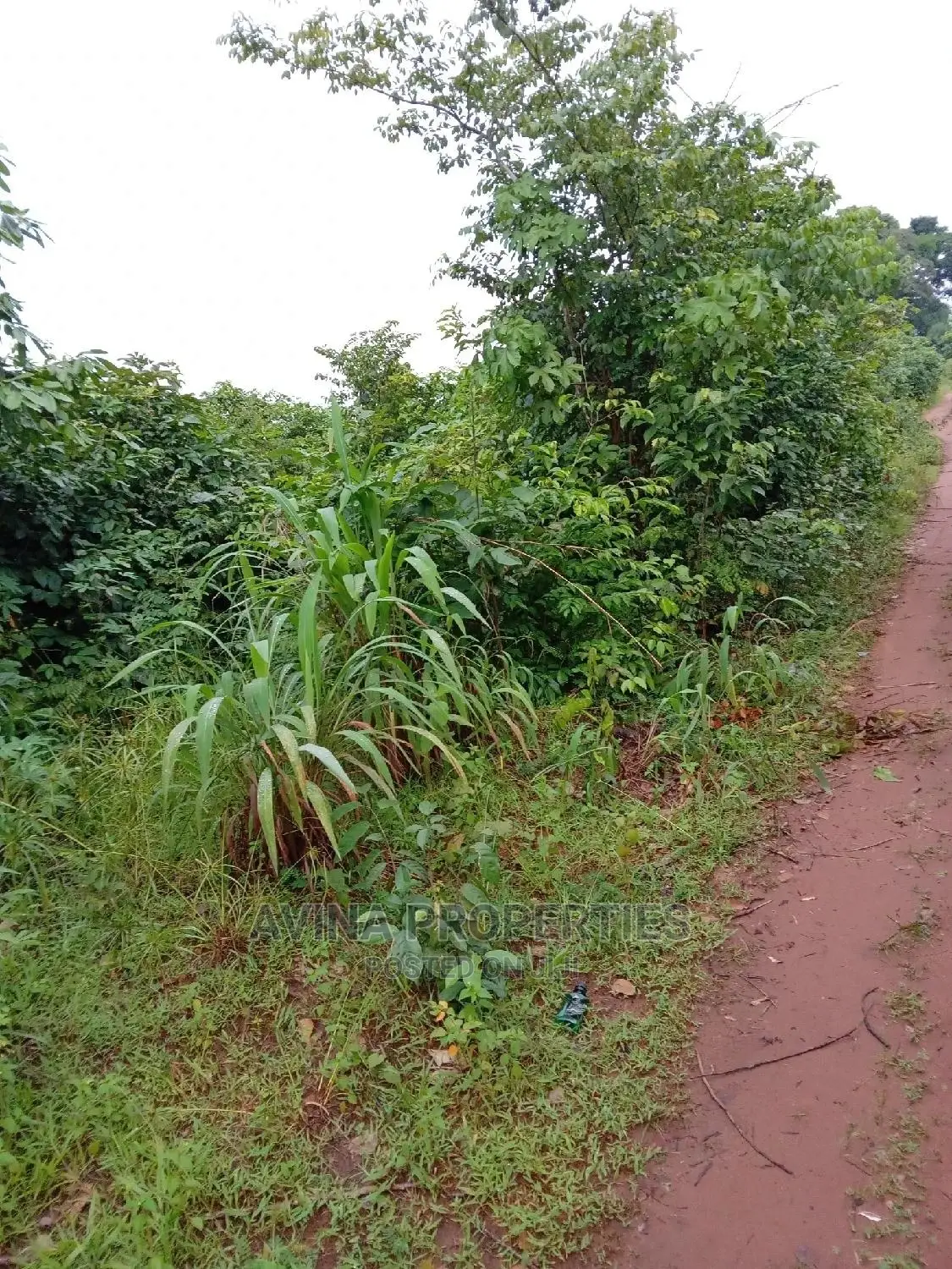 A Total of 14 Plots of Land Already Surveyed in Eziobodo in Owerri