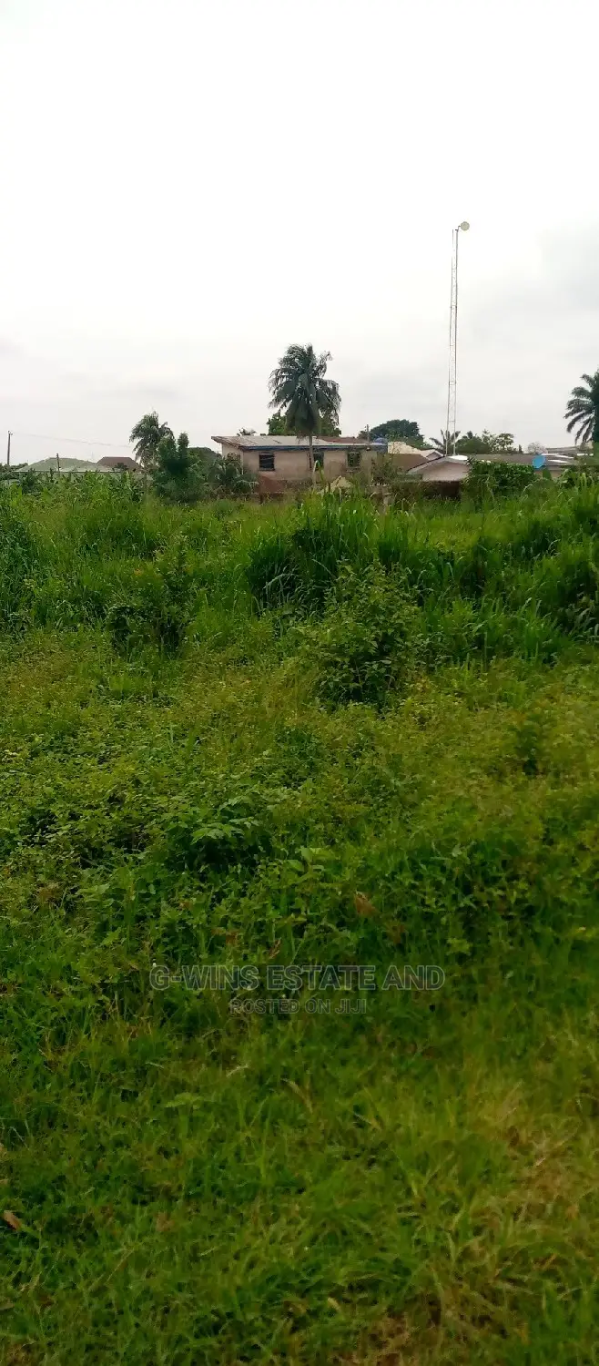 100x100ft for Sale in Benin City