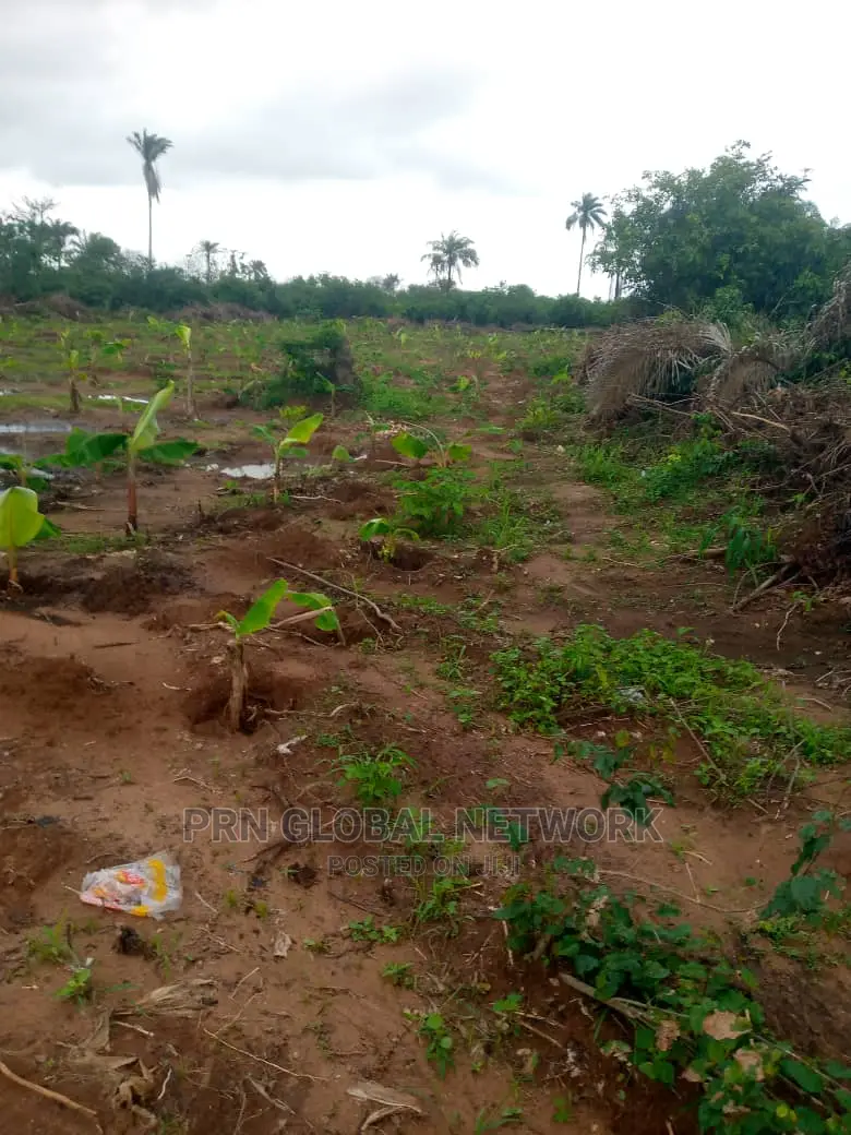 10 Plot of Land Available in Owerri
